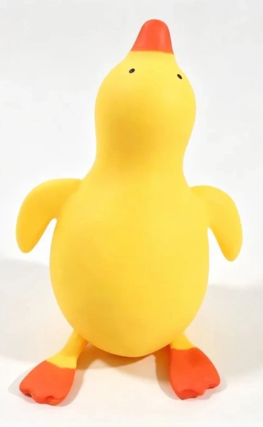 Jumbo Duck